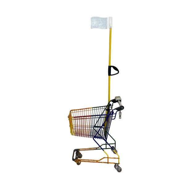 Kindereinkaufswagen Wanzl DR22 mit Fahne und buntem Korb